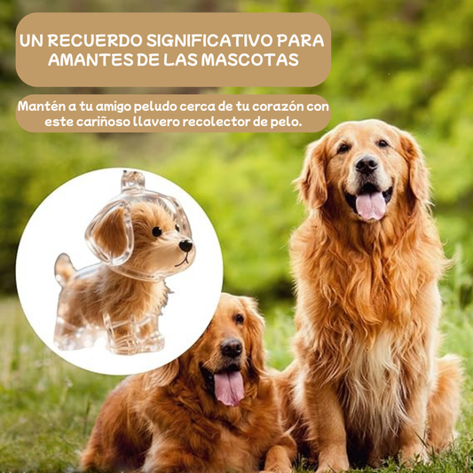 Llavero De Tu Peludo